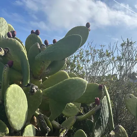 דירה Rebecca House *