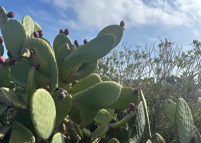 Apartman Rebecca House *